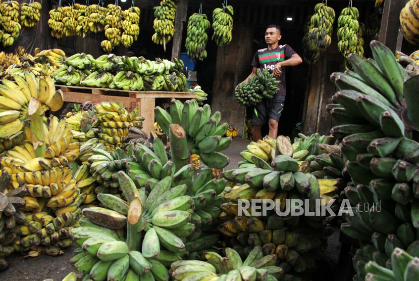 Pemerintah Filipina mengimbau langsung konsumen Jepang agar mau membayar harga yang lebih tinggi untuk pisang impor pada Rabu (8/6/2022). 