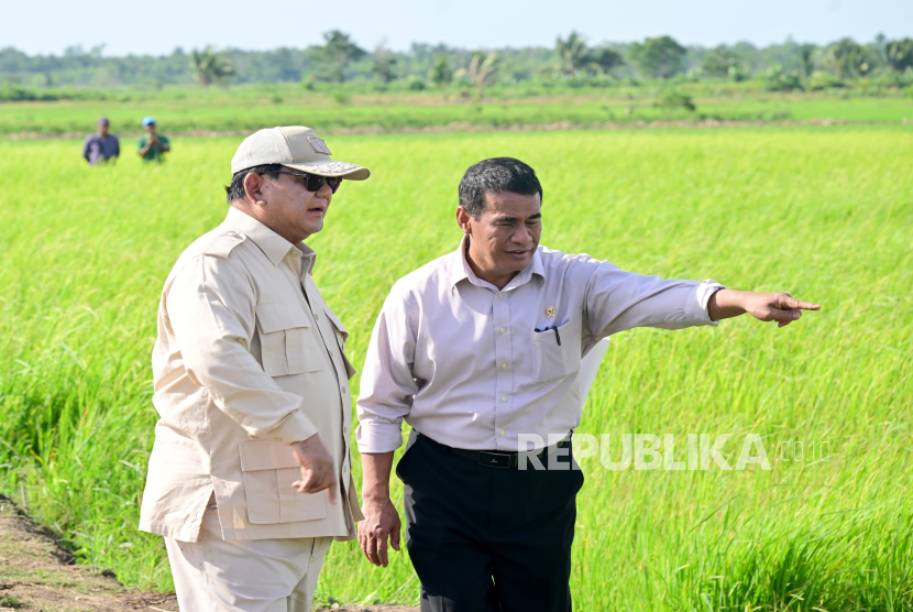 Presiden Prabowo Subianto didampingi Menteri Pertanian Andi Amran Sulaiman saat meninjau lahan pertanian di Desa Telaga Sari, Distrik Kurik, Kabupaten Merauke, Papua Selatan, Ahad (3/11/2024). 