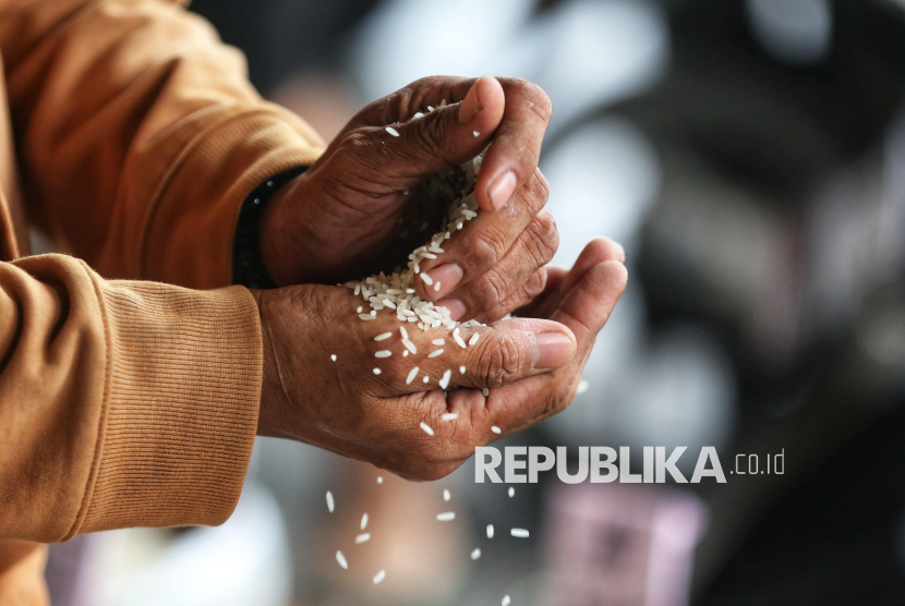 Pembeli mengecek kualitas beras di Pasar Induk Beras Cipinang, Jakarta, Senin (14/7/2025). Masyarakat diimbau lebih waspada dalam membeli beras, hal ini menyusul temuan Kementerian Pertanian terkait 212 merek beras yang beredar di pasaran diduga melakukan pengoplosan, pelanggaran standar mutu, berat, hingga harga eceran tertinggi (HET).