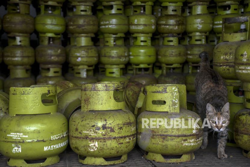 Seekor kucing berada di antara tabung gas liquefied petroleum gas (LPG) 3 kilogram di salah satu agen (ilustrasi). Pertamina Patra Niaga Regional Sumbagsel membentuk Satuan Tugas (Satgas) untuk memantau kelancaran penyaluran Bahan Bakar Minyak (BBM) di wilayah OKU Raya menjelang Ramadhan 1444 Hijriyah.