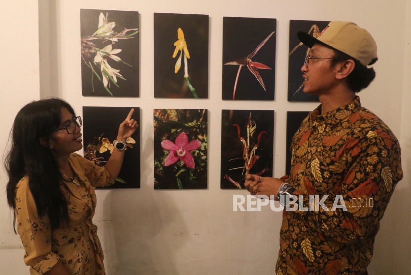 Pameran fotografi anggrek Papua di Kota Kediri, Jawa Timur, Senin (11/7/2022).