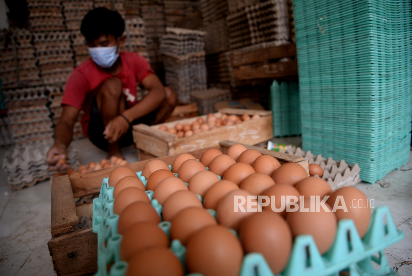 Pekerja menata telur ayam di salah satu agen di Jakarta, Senin (13/9). ilustrasi.