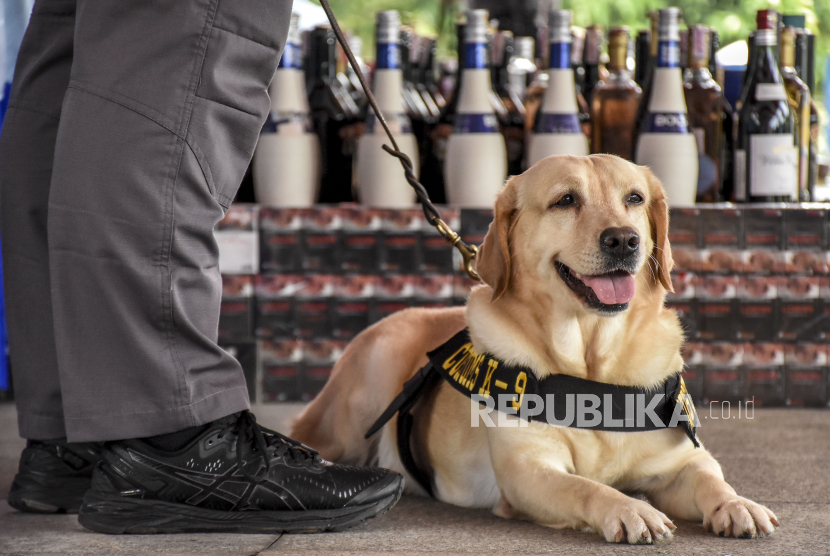 Petugas bersama anjing K-9 berada di dekat minuman beralkohol. Ekonom menilai pemerintah harus membuat kebijakan lanjutan terkait larangan konsumsi minuman beralkohol dan penegakan hukum yang tegas.