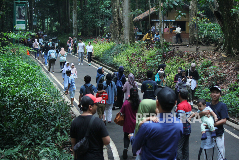 Tempat wisata alam Taman Hutan Raya Ir H Djuanda (Tahura) ramai pengunjung (ilustrasi). 