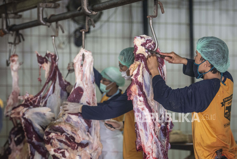 Himbauan Qurban di RPH Harus Ditanamkan Secara Bertahap. Foto: Pekerja memotong daging sapi kurban di Rumah Pemotongan Hewan (RPH) PD Dharma Jaya, Cakung, Jakarta, Jumat (31/7/2020). RPH PD Dharma Jaya pada perayaan Idul Adha 1441 H menyembelih 325 ekor sapi kurban yang berasal dari instansi pemerintah dan masyarakat serta penyembelihan tersebut akan berlangsung hingga Senin (3/8/2020). 