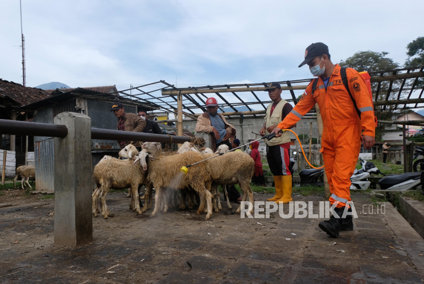 Palang Merah Indonesia (PMI) cabang Jakarta Barat (Jakbar) menyediakan layanan penyemprotan disinfektan kepada hewan ternak. Ilustrasi.