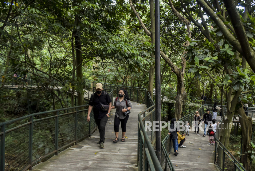 Sejumlah pengunjung beraktivitas di area Forest Walk di Hutan Kota Babakan Siliwangi, Jalan Tamansari, Kota Bandung. Kepala Disbudpar sebut wisatawan mulai berdatangan ke Bandung untuk libur akhir tahun.