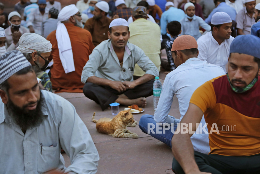 Seekor kucing liar duduk bersama umat Muslim menunggu untuk berbuka puasa pada hari pertama bulan suci Ramadhan di Masjid Jama, di New Delhi, India, Rabu, 14 April 2021. Kekerasan Muslim di India, Kami Diperlakukan Seperti Kambing Qurban