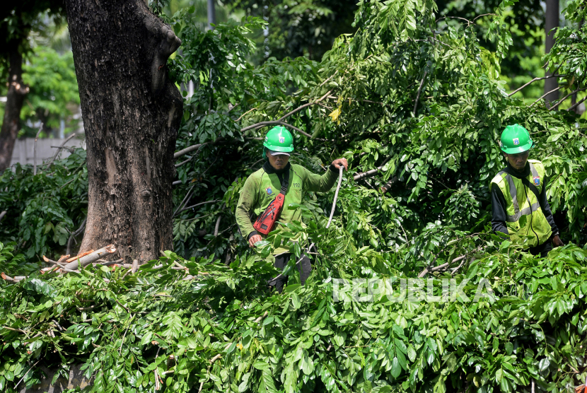 Sejumlah petugas Dinas Pertamanan dan Hutan Kota melakukan pemangkasan pohon (ilistrasi)