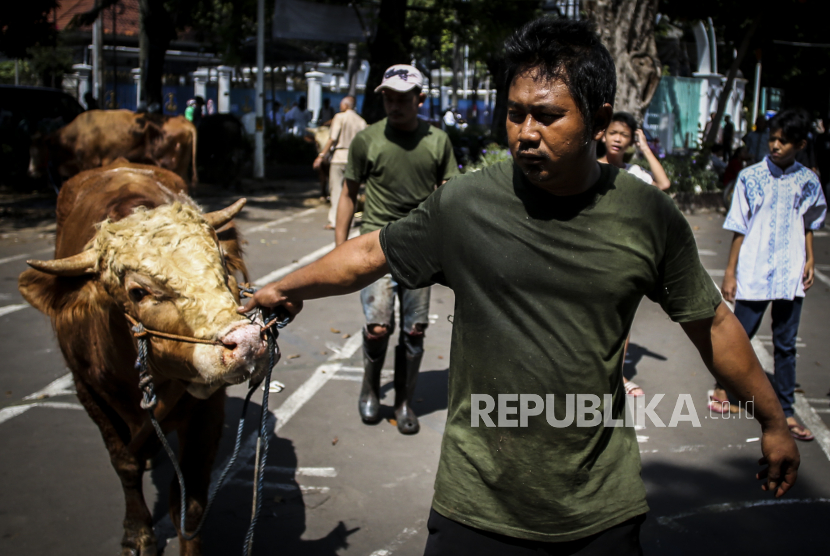 Petugas bersiap untuk memotong hewan kurban di Masjid Cut Meutia, Jakarta. Legislator meminta Pemprov DKI menjamin hewan kurban di Jakarta bebas penyakit.