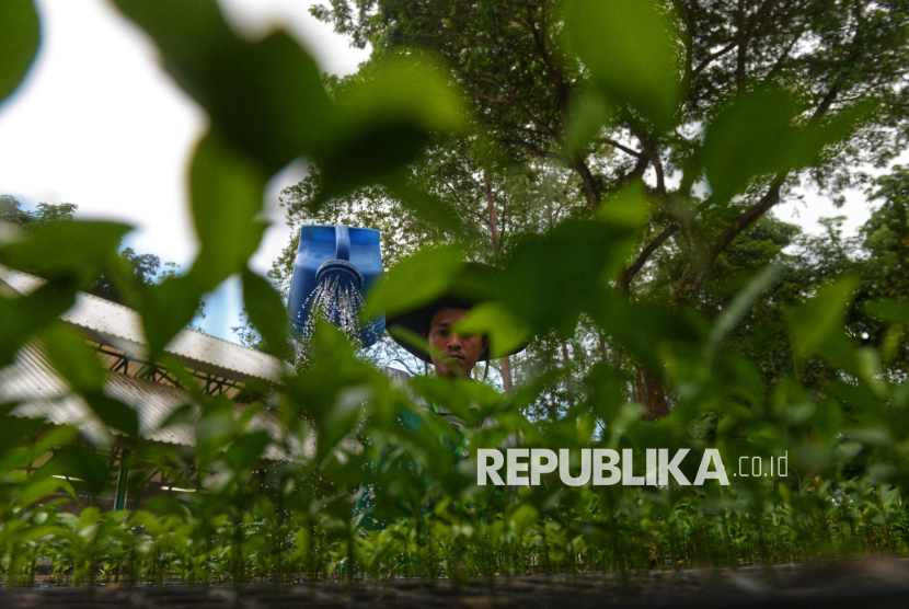 Ilustrasi menghijaukan lingkungan.