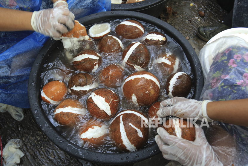 Pekerja mencuci buah kelapa setelah proses pengupasan untuk diolah menjadi minyak kelapa murni.