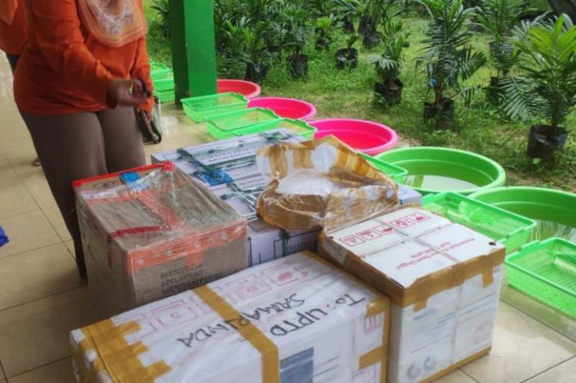 Kaltim Tingkatkan Ketahanan Bibit Sawit dengan Produksi Benih Lokal