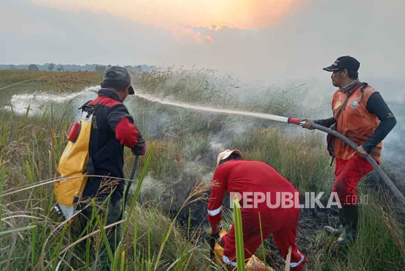 Petugas Balai Taman Nasional Way Kambas sedang melakukan pemadaman api di lahan gambut, Kecamatan Way Jepara, Kabupaten Lampung Timur, Lampung, Rabu (4/10/2023). 