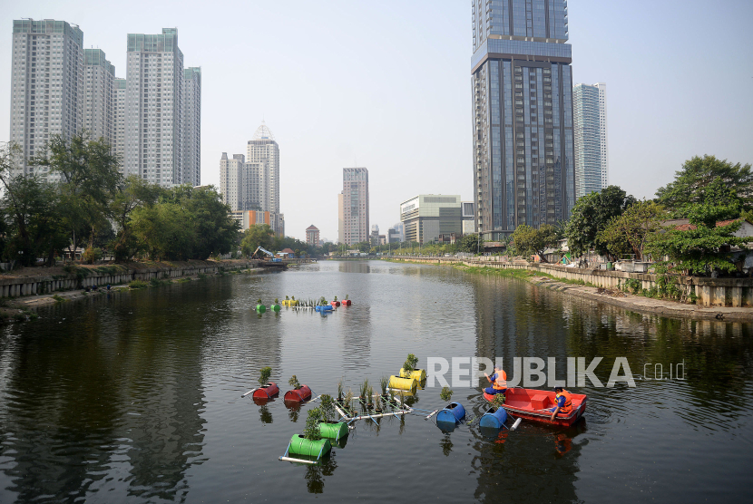 Petugas Suku Dinas Sumber Daya Air (SDA) Jakarta Pusat menyiram tanaman yang berada di Pot Apung atau Floating Forest di Waduk Melati, Jakarta, Jumat (6/10/2023). Penghijauan waduk dengan sistem pot apung tersebut diharapakan mampu mengurangi polusi sekaligus diharapkan menjadi daya tarik sendiri bagi waduk melati. Sistem pot apung ini diterapkan sejak satu minggu lalu dengan memanfaatkan pipa paralon dan drum bekas.