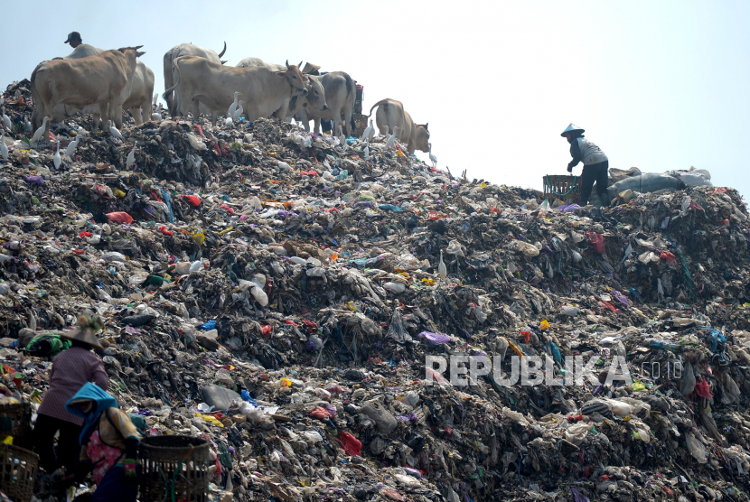 Pemulung mencari sampah daur ulang pada tumpukan sampah pembuangan terakhir di Tempat Pembuangan Akhir (TPA).