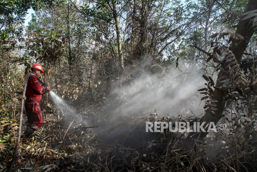 Petugas Manggala Agni Daops Pekanbaru menyemprotkan air ke arah lahan gambut yang terbakar ketika melakukan pemadaman,  di Pekanbaru, Riau, Senin (17/8/2020). Kebakaran  semak belukar di atas lahan gambut seluas 1,5 hektar yang terjadi dari Minggu (16/7/2020) ini berhasil dipadamkan petugas gabungan yang terdiri dari Manggala Agni, MPA, TNI,  dan Polri. ANTARA FOTO/Rony Muharrman /hp.