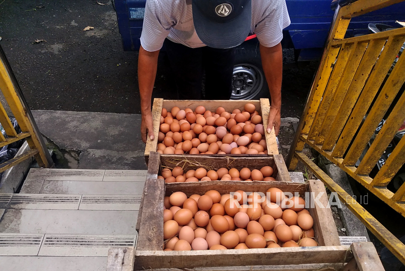 Pedagang telur (ilustrasi). Harga telur ayam di Kabupaten Jayapura dan Kabupaten Biak Numfor, Papua, stabil Rp 65 ribu hingga Rp 75 ribu per satu rak.
