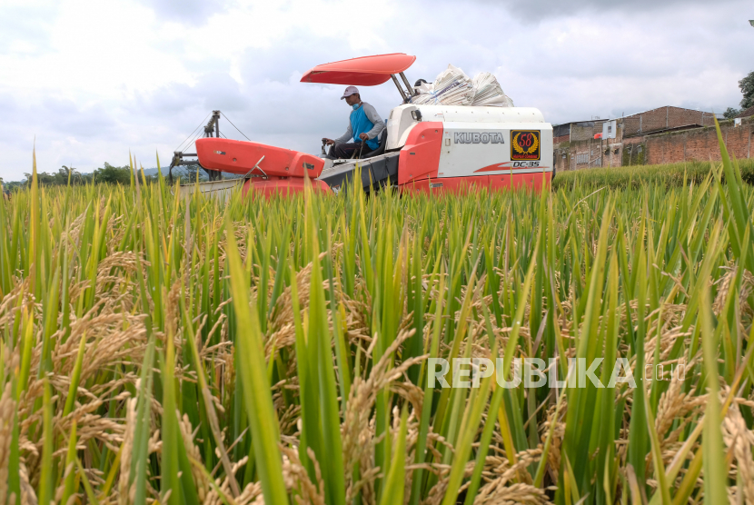 Petani menggunakan mesin pemanen melakukan panen di persawahan Desa Salaman, Parakan, Temanggung, Jawa Tengah.