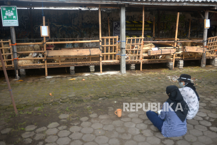 Calon pembeli melihat domba qurban. di Pusat Pengadaan Hewan Qurban (PPHQ) Angkatan Muda Muhammadiyah (AMM), Kota Gede, Yogyakarta (Ilustrasi). Terdapat sejumlah larangan khusus orang yang hendak berqurban 