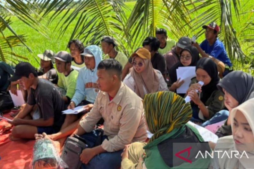 Maluku Tengah edukasi petani tentang ilmu tanah tingkatkan kapasitas.