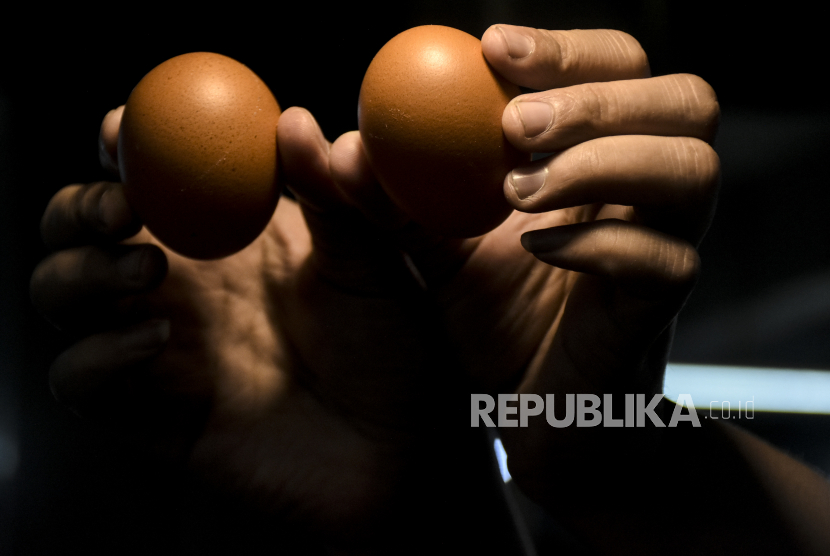 Pedagang menunjukkan telur ayam. Jelang akhir tahun harga telur ayam ikut mengalami kenaikan.