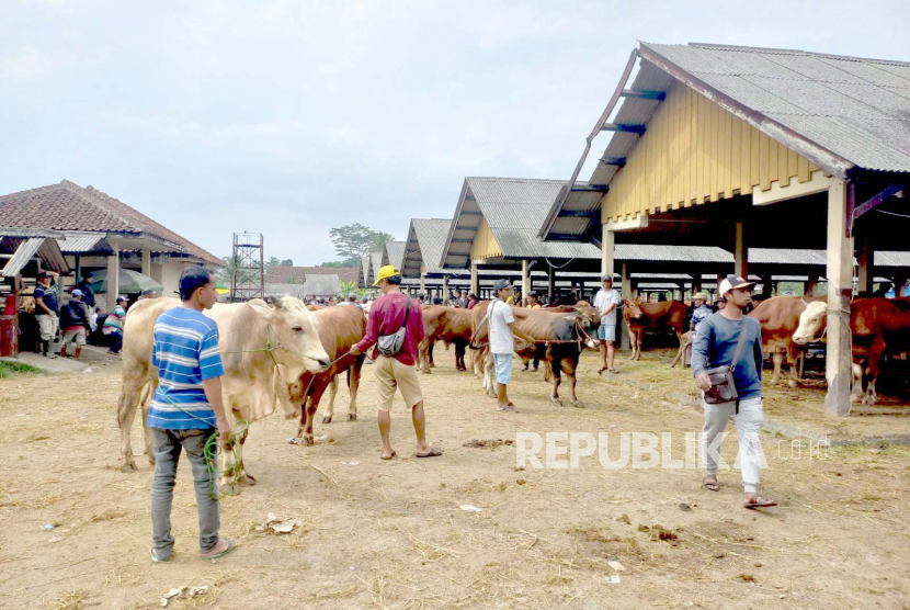 Aktivitas di Pasar Hewan Manonjaya, Kecamatan Manonjaya, Kabupaten Tasikmalaya, Rabu (14/6/2023). Penjualan hewan kurban di pasar itu jauh mengalami peningkatan dibandingkan tahun lalu ketika wabah PMK menyerang.