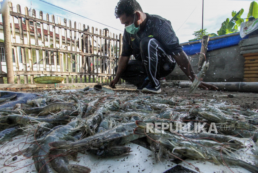 Perusahaan Umum Perikanan Indonesia (Perum Perindo) berkomitmen menjaga mutu dan kualitas hasil produk perikanan, khususnya udang di tambak Bratasena, Lampung. Upaya ini dilakukan bekerja sama dengan Badan Karantina Ikan, Pengendalian Mutu dan Keamanan Hasil Perikanan (BKIPM). 