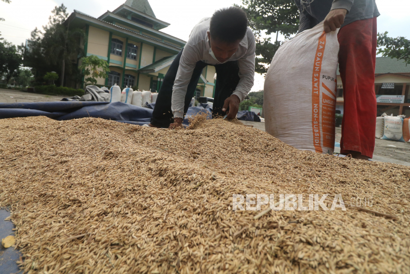 Warga mengemas gabah kering ke dalam karung di halaman Pondok Pesantren Lirboyo, Kota Kediri, Jawa Timur, Senin (26/4). Badan Pusat Statistik (BPS) mencatat terdapat penurunan harga gabah baik di tingkat petani.