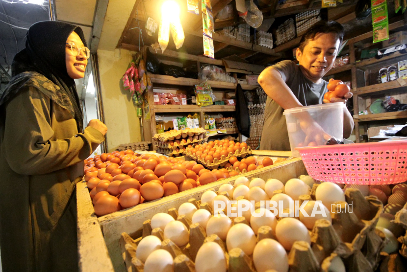 Pedagang telur ayam melayani pembeli, (ilustrasi). Kepala NFA mempertegas harga pangan pokok sesuai HET.