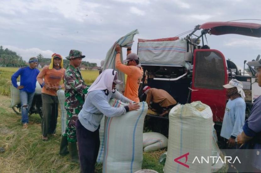 Bulog serap 18.079 ton GKP petani di OKU Raya.