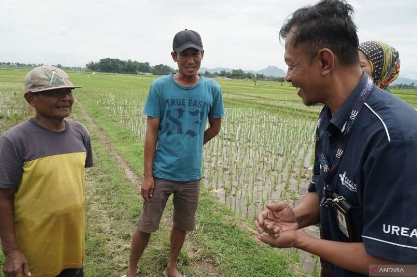Serapan pupuk subsidi di Tulungagung capai 90 persen.
