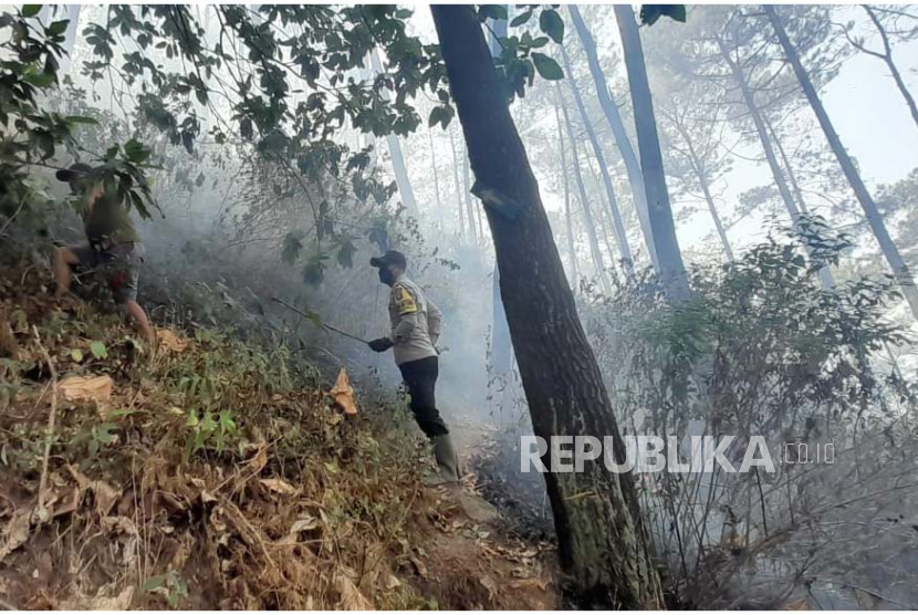 Sejumlah pihak melakukan upaya pemadaman api di wilayah Watu Gede, Desa Ngadas, Kecamatan Poncokusumo, Kabupaten Malang. 