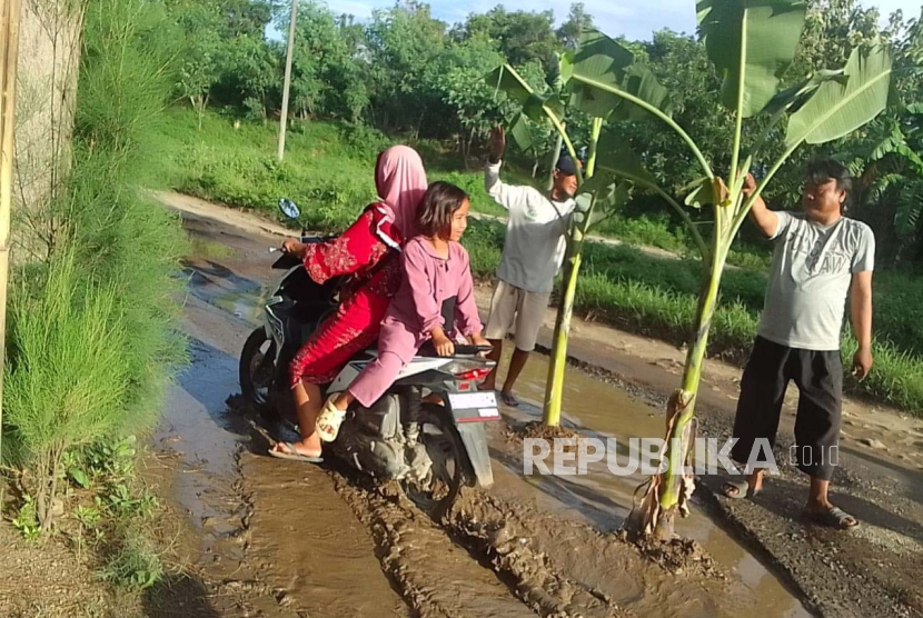 Sejumlah warga menanam pohon pisang di ruas jalan Desa Panyindangan Kulon, Kecamatan Sindang, Kabupaten Indramayu yang rusak (ilustrasi)