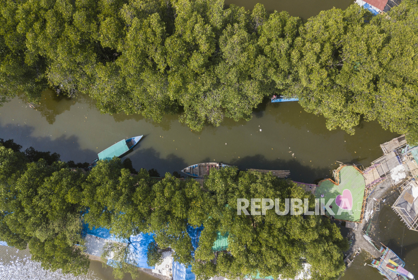 Foto udara wisata Hutan Mangrove Sungai Jingkem di Tarumajaya, Kabupaten Bekasi, Jawa Barat, Rabu (18/11/2020). Sungai Jingkem yang dikelilingi oleh hutan Mangrove dengan luas 1,5 km persegi menjadi alternatif destinasi wisata di daerah itu. 