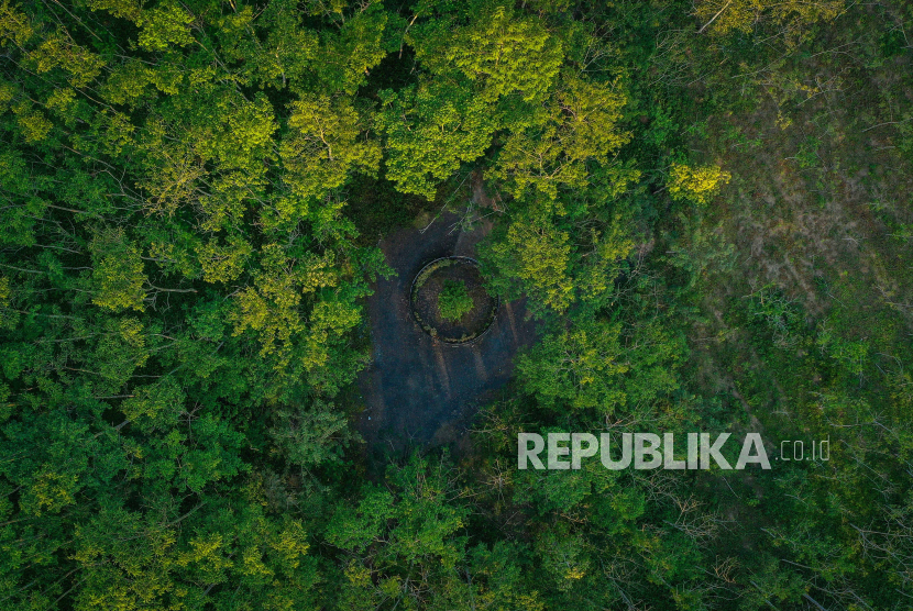 Foto udara suasana Taman Hutan Hujan Tropis Indonesia (TH2TI) di Perkantoran Pemerintah Provinsi Kalimantan Selatan, Banjarbaru, Kalimantan Selatan, Ahad (28/07/2024). 