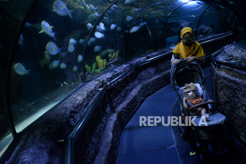 Pembukaan Kembali Objek Wisata SeaWorld Ancol Republika Online