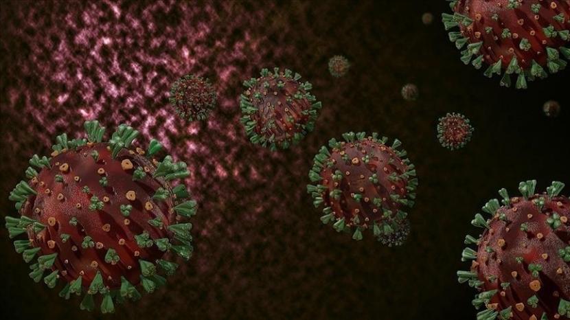 Pejabat kesehatan Inggris mengatakan mutasi virus korona 70 persen lebih mudah menular - Anadolu Agency