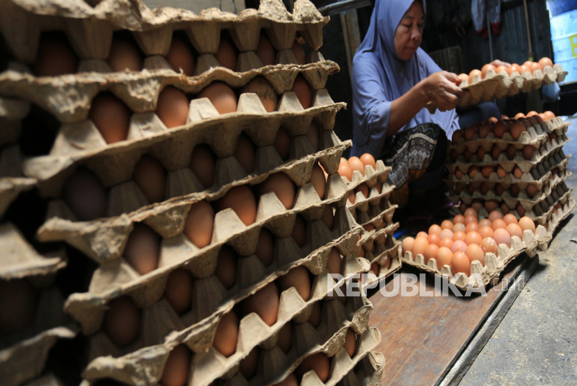 Pekerja menyortir dan membersihkan telur ayam ras di salah satu tempat penampungan telur Desa Ujong Baroh, Johan Pahlawan, Aceh Barat, Aceh, Jumat (26/5/2023). Pelaku usaha mengaku, harga telur ayam sejak sebulan terakhir merangkak naik dari Rp435 ribu per ikat (10 papan telur) menjadi Rp500 ribu sampai Rp525 ribu per ikat akibat dampak dari kenaikan harga pakan dan menurunnya produksi telur.  