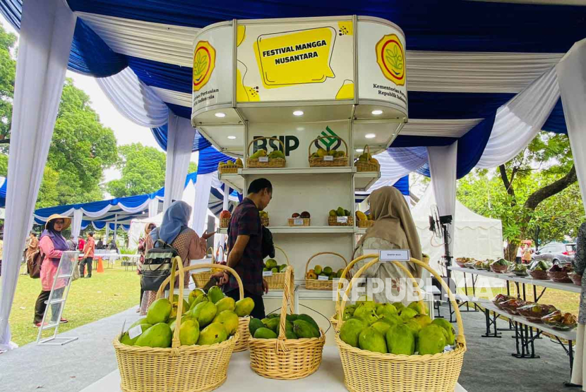 Ratusan jenis mangga asal Indonesia dipamerkan di Festival Mangga Nusantara, yang merupakan bagian dari Gebyar Agrostandar di Lapangan BB Biogen Komplek BSIP Cimanggu, Kota Bogor untuk mengedukasi masyarakat mulai 19 hingga 21 September 2023. 