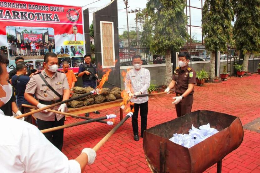 Polres Pasaman musnahkan sisa barang bukti 15 kg ganja