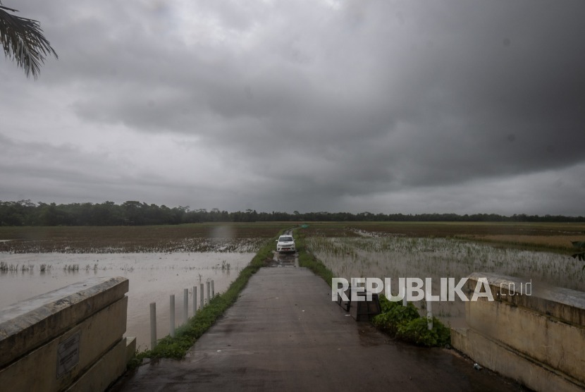 Pengendara roda empat melintasi areal persawahan yang terendam banjir. Ratusan hektare sawah di Kabupaten Tangerang alami kerusakan akibat terendam banjir.