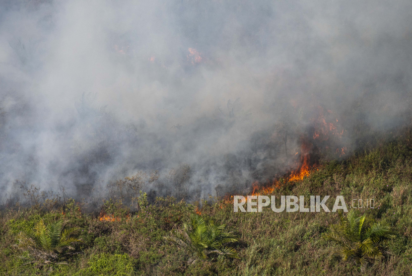 Membakar lahan (ilustrasi). Masyarakat Aceh Barat diimbau tidak membakar lahan saat cuaca panas.