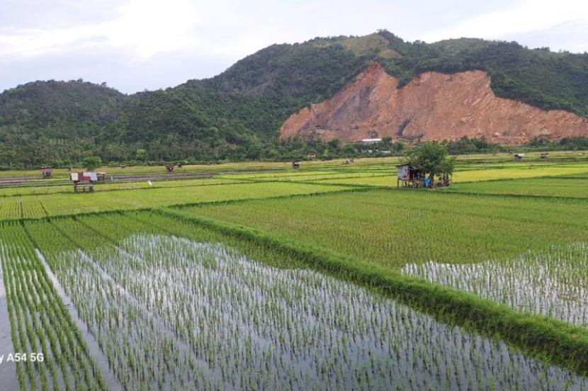 Aceh Besar Butuh 603 Penyuluh Pertanian untuk Optimalkan Produksi