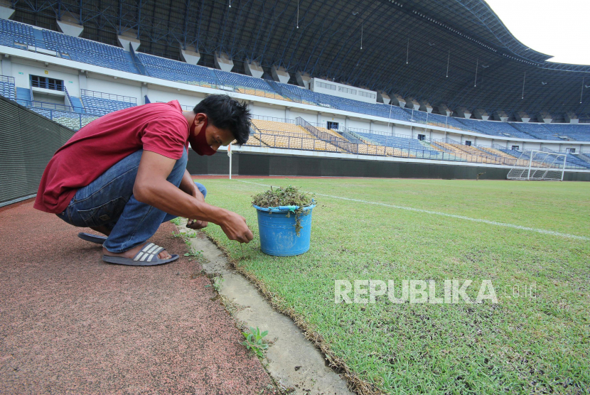 Petugas perawatan Stadion Gelora Bandung Lautan Api (GBLA), Kota Bandung, mencabuti rumput liar, (ilustrasi).  Wali Kota Bandung Yana Mulyana mengklaim Stadion Gelora Bandung Lautan Api (GBLA) segera bisa digunakan untuk kompetisi liga 1 2022-2023.  