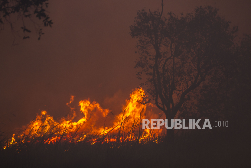 Api membakar hutan dan lahan di Kecamatan Landasan Ulin, Banjarbaru, Kalsel, Selasa (27/6/2023). BMKG memantau ada 151 titik panas di Kalimantan Timur, Senin (31/7/2023).