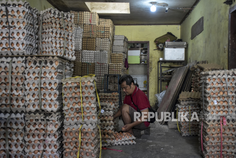 Pekerja menata telur ayam di salah satu sentra penjualan telur ayam di Jalan Ibrahim Adjie, Batununggal, Kota Bandung, Jawa Barat, Kamis (25/5/2023). Berdasarkan keterangan pedagang, harga telur ayam mengalami kenaikan menjadi Rp32 ribu dari yang semula Rp27 ribu. Kenaikan harga tersebut salah satunya disebabkan oleh harga pakan ayam yang meningkat.