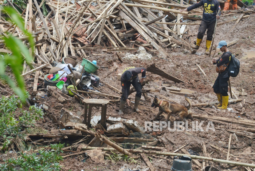 Petugas melakukan pencarian korban dengan menggunakan anjing pelacak di lokasi longsor di Kampung Gintung Desa Cibenda, Kecamatan Cipongkor, Kabupaten Bandung Barat, Senin (25/3/2024). Sebanyak 9 orang warga diduga tertimbun dan belum ditemukan dalam peristiwa longsor yang terjadi Ahad (24/3/2024) malam. Proses pencarian korban masih dilakukan oleh petugas gabungan.