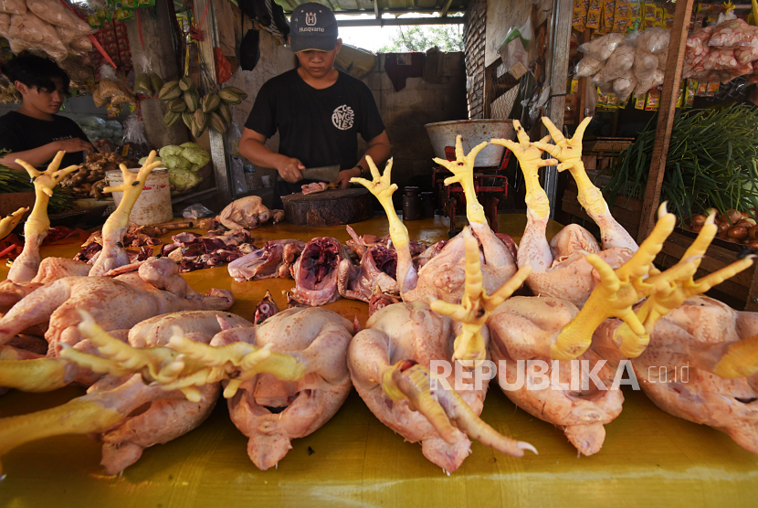 Pedagang daging ayam melayani pembeli di pasar (ilustrasi). Pemerintah Kota Jambi, Provinsi Jambi, melakukan operasi pasar menjelang Idul Adha sebagai upaya stabilisasi harga kebutuhan pokok yang merangkak naik mendekati hari raya Idul Adha.