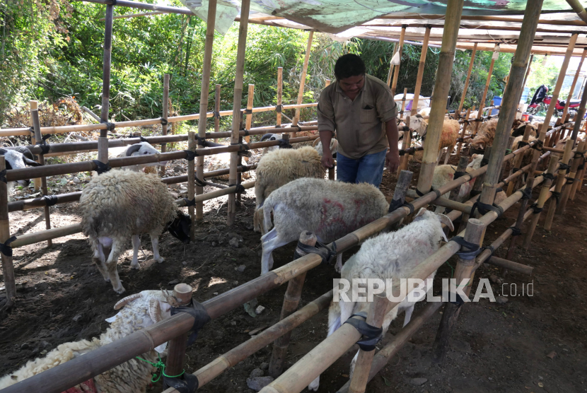 Ridwan Kamil Imbau Warga Beli Hewan Qurban Daring